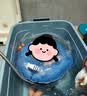 swimbobo婴儿游泳圈脖圈0-5个月新生儿游泳脖圈婴儿洗澡颈圈蓝色BO1002M 实拍图