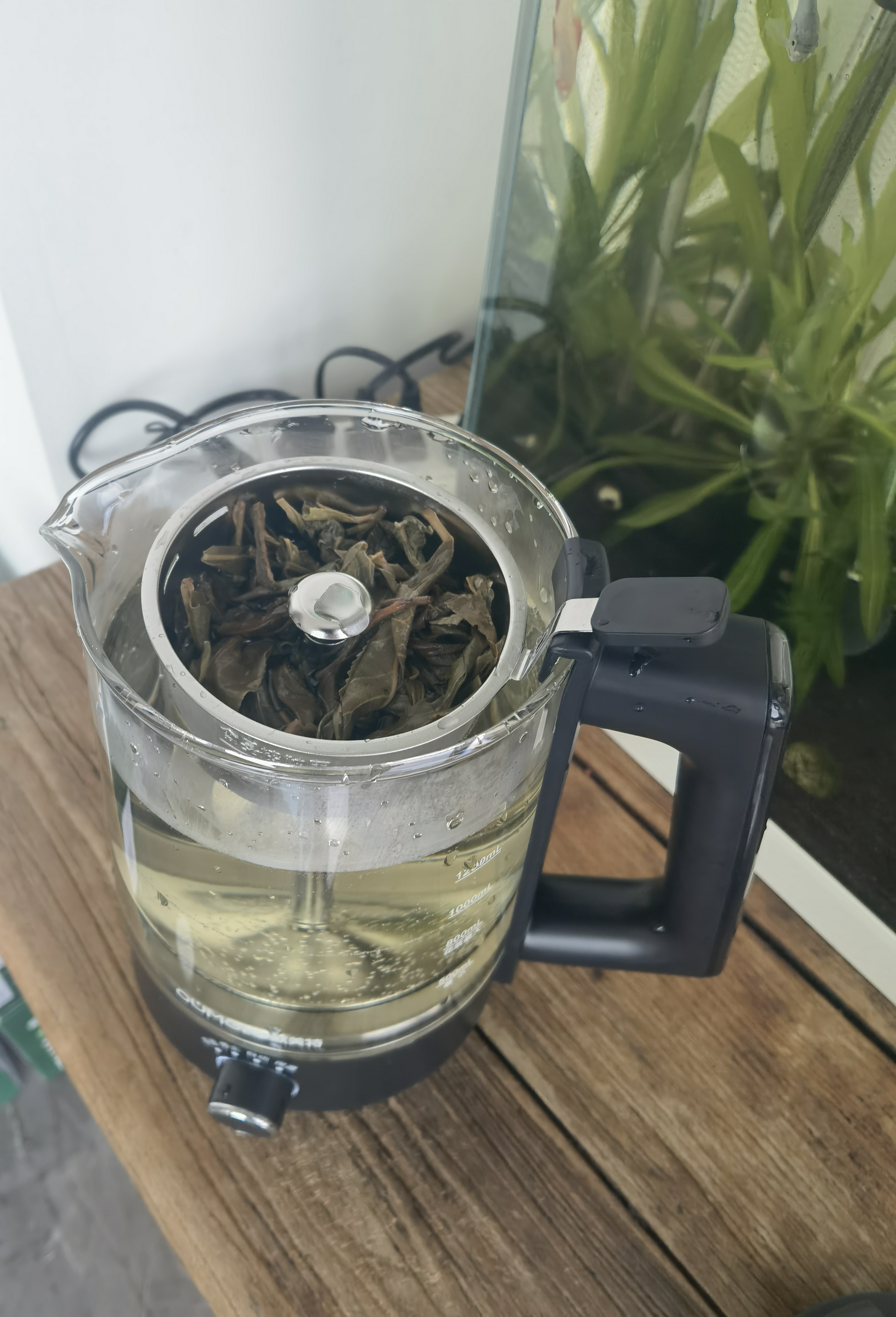欧美特（OUMETE）煮茶壶 煮茶器 喷淋式蒸汽茶壶 养生壶 玻璃恒温保温煮茶烧水壶OMT-PC1016A（单网） 实拍图
