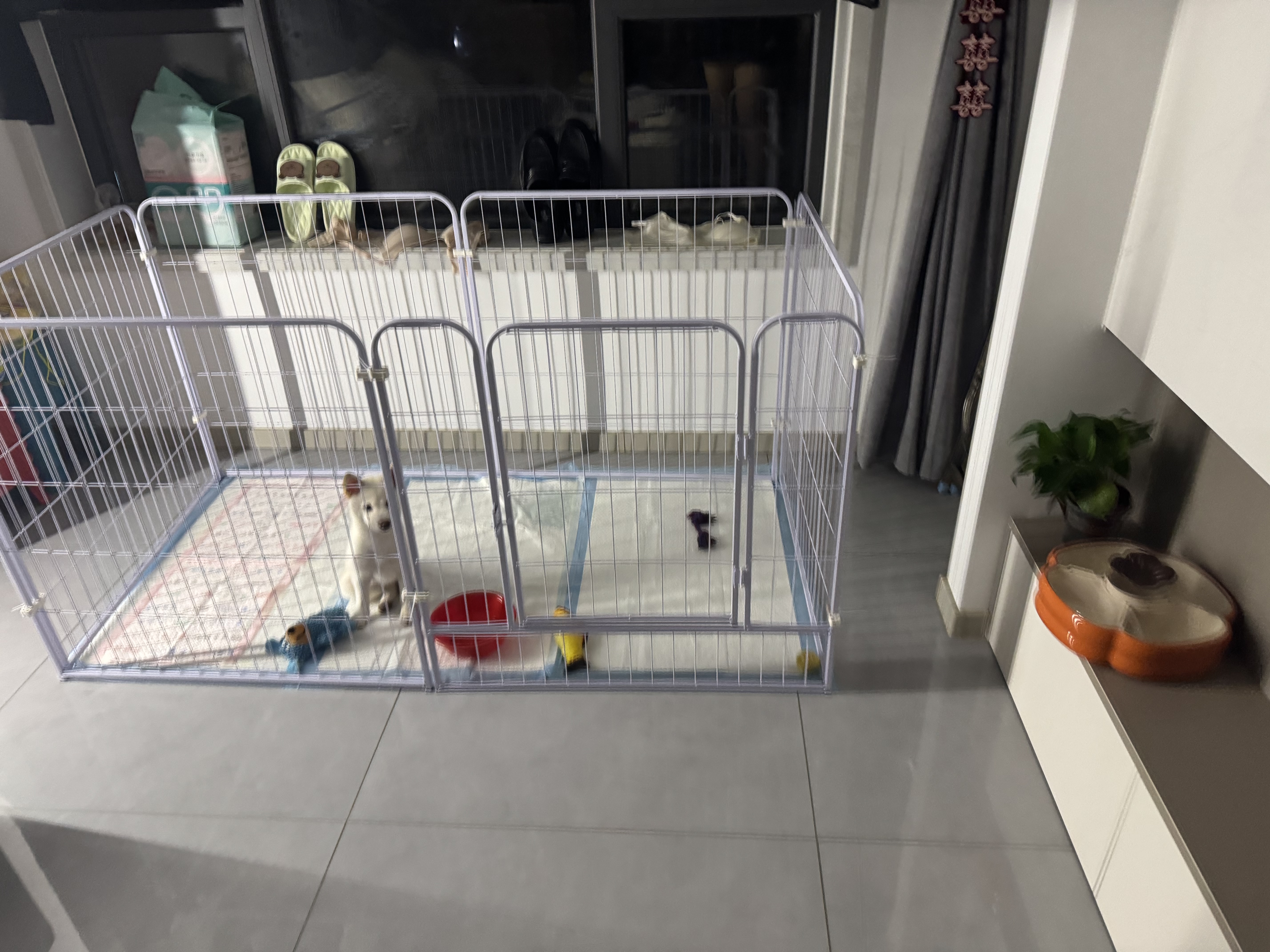 贝初众狗围栏室内宠物围栏狗笼子狗栅栏狗笼小中大型犬猫围栏狗笼折叠 160*80*80【适合中大型犬】 【6片】自由拼接组合围栏 加粗加密框架/无惧啃咬 实拍图
