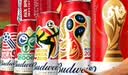百威【梅西同款】世界杯珍藏版啤酒【40周年限定】500ML*12礼盒装 实拍图