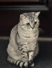 愛肯拿（ACANA）猫粮 牧场盛宴成猫幼猫粮 高蛋白无谷进口鸡肉粮5.4kg 效期27/5 实拍图