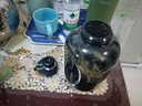 特步（XTEP）吨杯吨桶水杯超大容量杯子健身运动水壶京东自营男女吸管大肚杯小 实拍图
