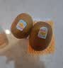佳沛（zespri）新西兰阳光金奇异果18粒礼盒优选果单果103-124g 猕猴桃水果礼盒 实拍图