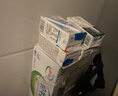 伊利【新鲜日期】纯牛奶250ml*21盒整箱 优质乳蛋白早餐奶礼盒装5月产 实拍图