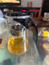飘逸壶泡茶壶耐热高温玻璃沏茶过滤内胆冲茶器家用茶具套装 飘逸杯500mL1个 实拍图