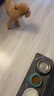 皇家狗粮 成犬粮 通用犬型 CC通用狗粮12月以上 3KG【成犬通用】 实拍图