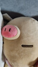 名创优品（MINISO）小猪B-BO系列-黑皮甜筒趴姿公仔毛绒玩偶儿童玩具抱枕生日礼物女 实拍图