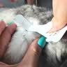 普安特宠物猫咪驱虫药驱虫体内外同驱跳蚤犬虱非泼罗尼滴剂爱滴克 实拍图