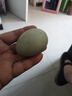 【热销百万单】正宗咸鸭蛋50g/枚饱满流油生鲜超市早餐新鲜即食 10枚精选 实拍图