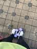 亚瑟士ASICS跑步鞋网面舒适跑鞋女鞋缓震透气运动鞋 GEL-FLUX 4 白色/银色 37 实拍图