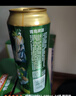 青岛啤酒（TsingTao）经典（1903）500ml*24罐 整箱装批发  一厂生产 实拍图