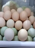 温润食品绿壳乌鸡蛋30枚/2.6斤 生鲜鸡蛋 绿壳鸡蛋土鸡蛋 生鲜食材 实拍图