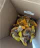 良品铺子什锦鹌鹑蛋450g卤蛋小包装64颗铁蛋即食盐焗卤味素食网红休闲零食 实拍图