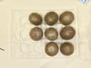 艺福堂花草茶 罗汉果大果清润茶12颗盒装198g 永福特产干果精品搭胖大海 实拍图