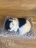 毛绒仿真猫会叫睡猫汽车摆件竹炭垫子猫净化空气家居装饰礼品玩偶 款式10 晒单实拍图