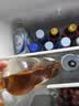威雀Famous Grouse 谷物调配威士忌 700ml 裸瓶 中秋送礼 中秋送礼 实拍图