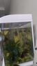 森森 小鲤鱼缸过滤器净水循环三合一内置水族箱过滤系统XQP-500F 6W 实拍图