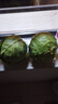 山东新鲜甘蓝包菜卷心菜圆白菜新鲜嫩绿莲花白现摘现发早餐减脂 新鲜包菜 4.6斤净重 人工挑拣 实拍图