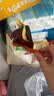 麦富迪 狗狗零食 藻趣儿火腿肠成幼犬训练奖励宠物零食混合味1000g 实拍图