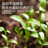 史丹利（STANLEY）复合肥蔬菜用农用种菜肥料花肥家用盆栽通用型养花化肥有机2.5斤 实拍图