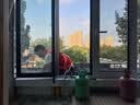 京东空调【一口价加氟】维修2匹挂机1-2层 不含高空费 实拍图