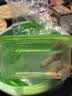 特美居方形一次性餐盒带盖食品级打包盒高品质饭盒可微波露营水果保鲜盒 方形绿盖750型x20套 实拍图