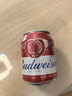 百威啤酒mini红罐淡色拉格255ml*24小罐整箱装京东自营喜酒 实拍图