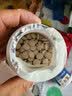 宠物益生菌片狗狗调理肠胃猫咪肠胃宝幼犬幼猫呕吐腹泻补钙美毛粉 宠物活性益生菌片200粒/瓶 益生菌片【200片/瓶】1瓶 实拍图