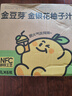 金豆芽金银花柚子汁儿童饮品无添加大瓶饮料火锅聚餐分享装1L*6瓶 实拍图
