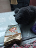 好主人金装好主人猫粮2.0 成猫幼猫蓝猫英短通用全价无谷冻干 【试吃装】金装幼猫粮400g 实拍图