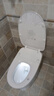 九牧（JOMOO）智能马桶家用马桶小户型包安装清洗屁屁烘干全自动轻智能坐便器 静音冲3.0+脚感冲水S320I  400坑距(390以上选择) 实拍图