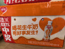 银鹭【任嘉伦推荐】特调红茶花生牛奶 复合蛋白饮料450ml*15 整箱 实拍图