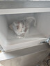 新飞冰箱小型租房用 一级能效冷 藏冷冻两用1-2人家用小冰箱 出租房双门电冰箱办公室两门 26年升级 66A一级能效【保温升级】银 实拍图