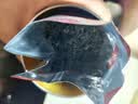 乐品乐茶高山绿茶浓香耐泡高性价比口粮茶特级明前春茶 500g自饮2026新茶 实拍图