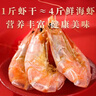 赶海弟 脆皮对虾干500g即食烤虾干 小虾仁干海米虾皮 休闲零食 南北干货 实拍图