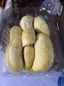 新贝吸奶器 电动吸奶器无痛全自动  拔奶器 大吸力便携吸乳器8768-1 实拍图