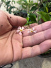 胜为Lightning转3.5mm耳机转接头听歌音频转换 适用于苹果12/13/14手机iPad平板 ELD0001H 实拍图