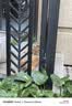 布兰德功能主食猫条清火补水湿粮成幼猫条全价鲜煮营养鸭肉32支装 实拍图