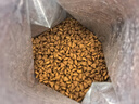 皇家猫粮 成猫猫粮 去毛球 IH34 通用粮 12月以上 2KG 实拍图