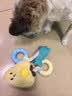 HELLOJOY狗狗玩具耐咬磨牙球宠物幼犬小狗比熊用品小型犬拔河自嗨解闷神器 实拍图