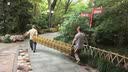 仿竹篱笆护栏乡村道路围栏不锈钢栏杆花园防护栏菜园栅栏仿竹护栏 定制-标准款仿竹 实拍图