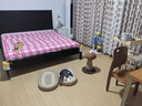 兽牌云端实木猫爬架小户型猫架带窝猫咪抓柱猫架子猫树猫窝猫抓板一体 云端S1 实拍图