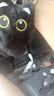 黑猫玩偶毛绒公仔挂件ins可爱猫咪包包挂饰情侣礼物送女朋友礼物 黑白围巾+黑猫【升级双扣挂绳】 会吱吱叫【10厘米左右】 实拍图