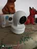 普联（TP-LINK）智能摄像头 家用监控器360度夜视全景 无线网络手机远程可对话 宝宝宠物室内安防监控 IPC43AW全彩 实拍图