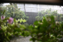 尼康（Nikon）D780全画幅单反相机 专业级 约2450万有效像素 D780 24-120套机 实拍图
