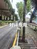 伟嘉成猫猫粮 夹心粮10kg牛肉味全价猫粮 实拍图