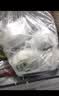 神丹皮蛋礼盒  20枚共1.16kg  无铅工艺鸭皮蛋礼盒 实拍图