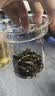 泥也茶杯玻璃泡绿茶杯茶水分离杯耐热加厚带过滤男士办公个人专用 实拍图