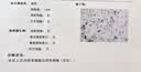 MSLUT进口蛋氨酸硒片补硒第一名提高增强免疫力抵抗力男女通用 4瓶周期装【3瓶价格， 赠送1瓶】 60粒*4瓶 实拍图
