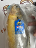 三都港 冷冻黄花鱼净重600g/2条装 宁德大黄鱼 海鱼 生鲜鱼类 海鲜水产 实拍图